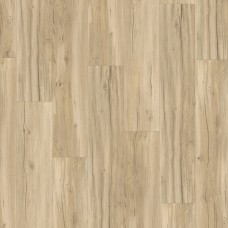 Oak Memory sanded